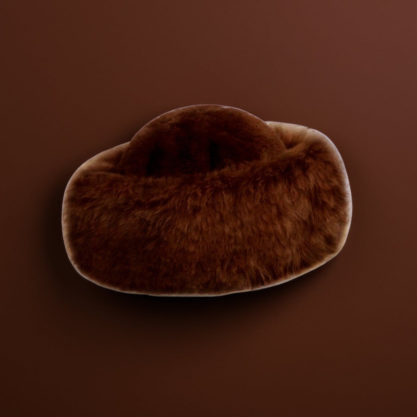 Brown Hat