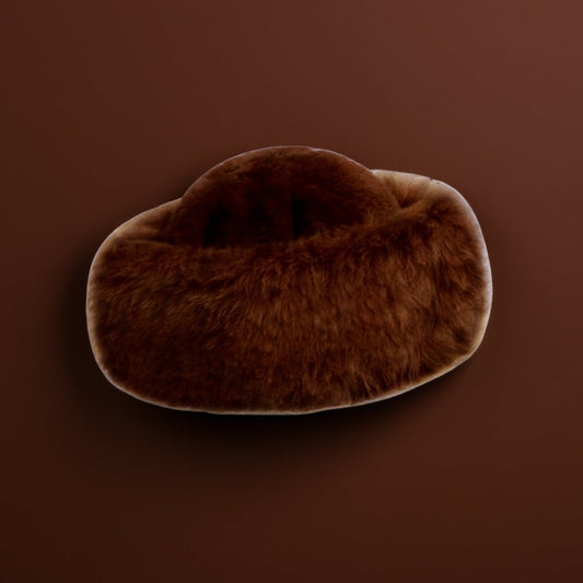Brown Hat