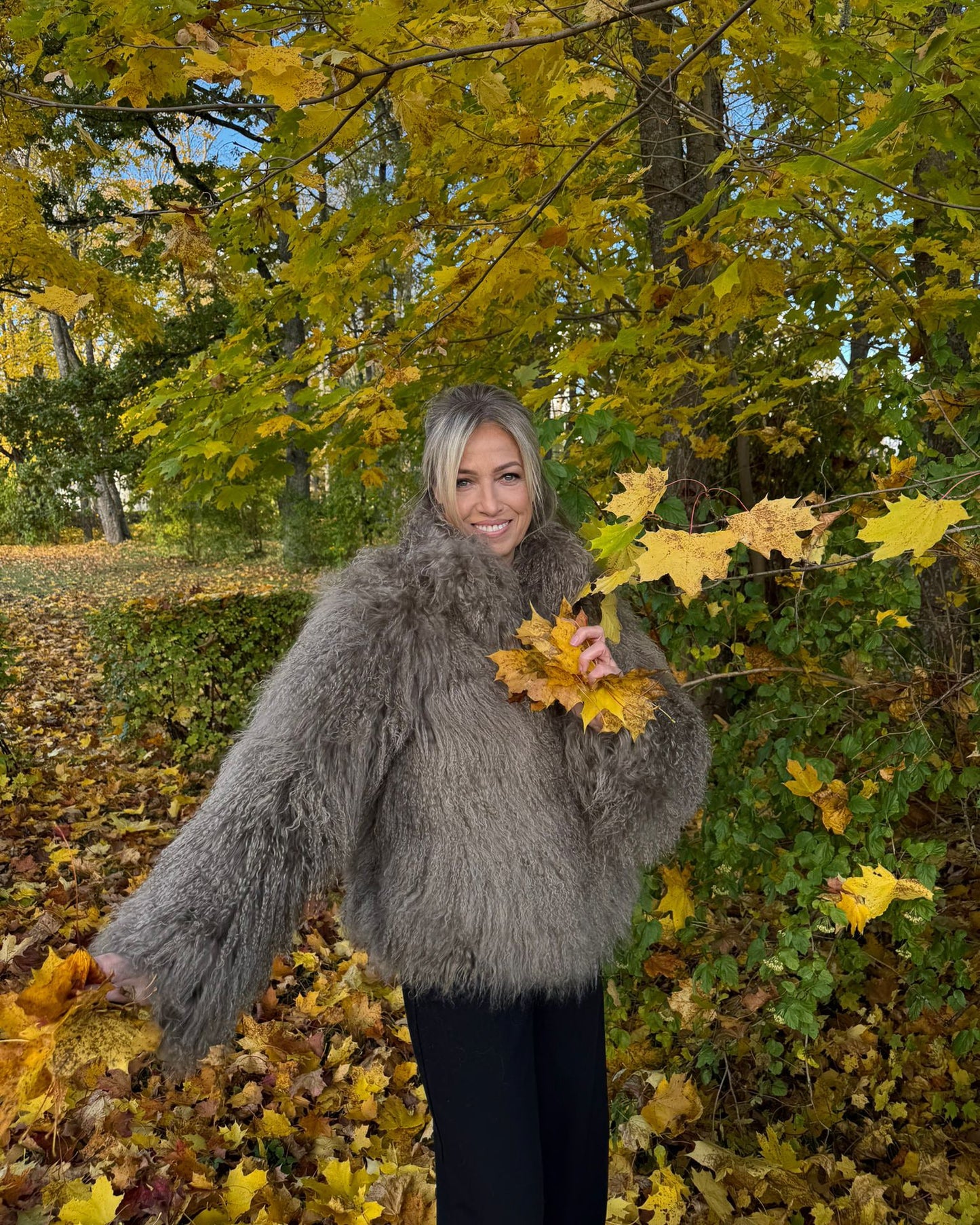 High Collar Taupe Coat